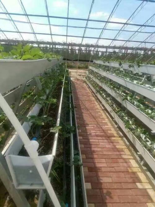 indoor hydroponic grow system